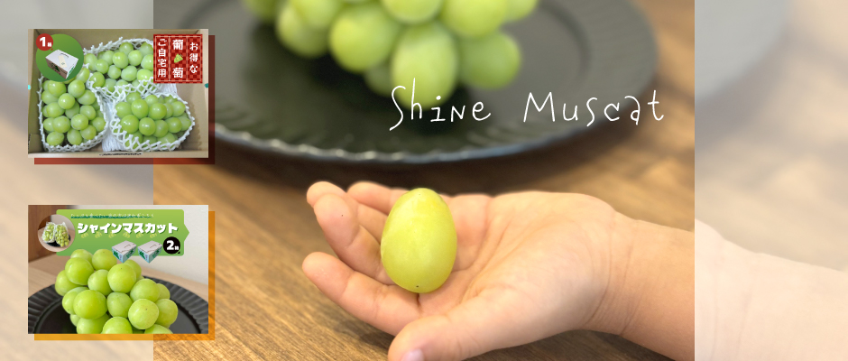 DOHO STYLEシャインマスカット