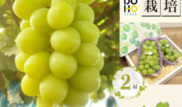 三好産シャインマスカット