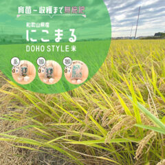 和歌山県産　DOHO STYLE米